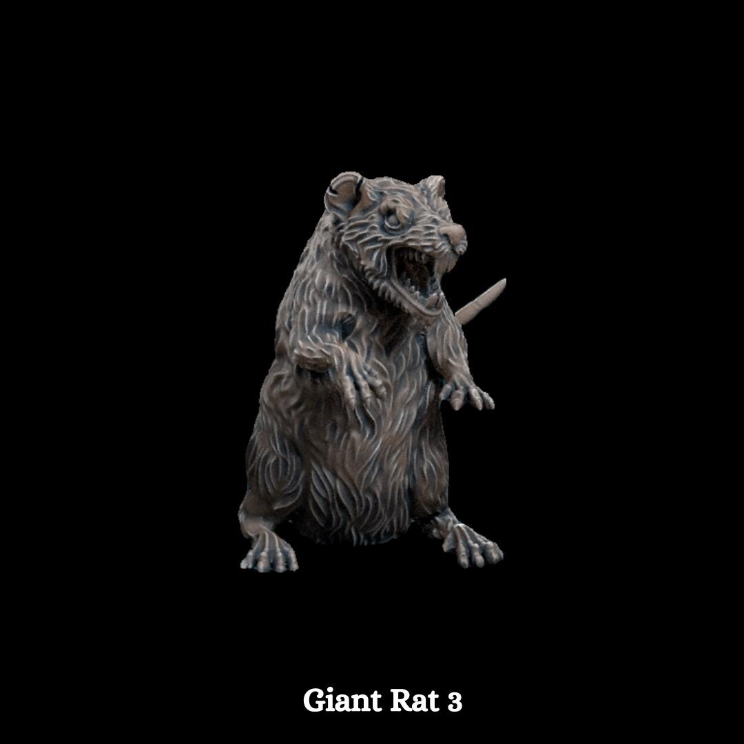 Giant Rats - Set of 8 Figures - 28mm/32mm Scale Unpainted Resin ...