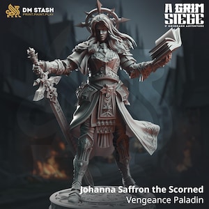 May include: A gray plastic miniature figurine of a female paladin with a sword and a book. The figure is wearing armor and a flowing robe. The text "Johanna Saffron the Scorned Vengeance Paladin" is printed below the figure.