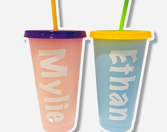 Personalized Plastic Tumblers with Lids & Straws: Custom Name Party Cups