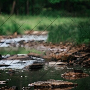 Forest Creek & Forest Rock Digital Backdrop