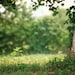 Digital Backdrop Spring - Etsy