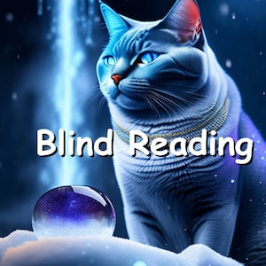 Könnte beinhalten: Eine blaue Katze mit leuchtend blauen Augen sitzt im Schnee mit einer violetten Kristallkugel vor sich. Der Text "Blind Reading" ist in weißen Buchstaben auf blauem Hintergrund geschrieben.