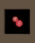 Luminous No. 9 - Sea urchin light product logo
