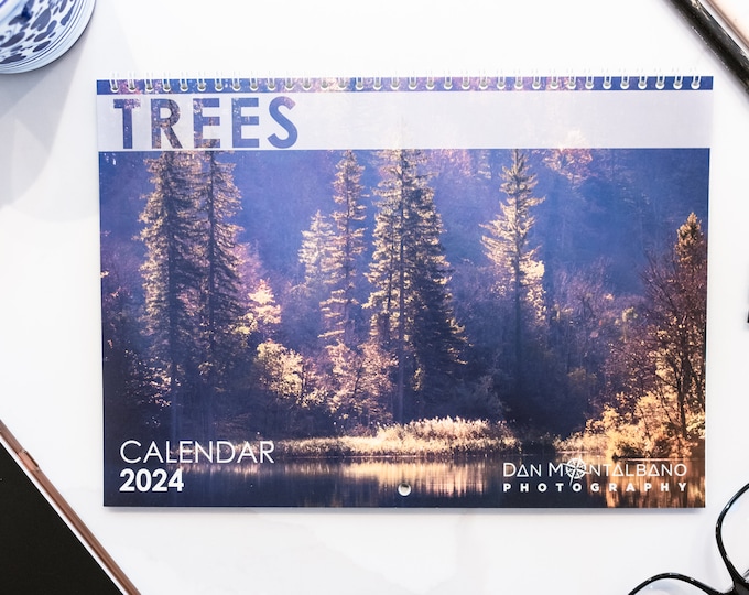Tree Term Calendar Trees 2024 Wall Calendar Hanging Wall Photography Calendar 2024 Monthly ...