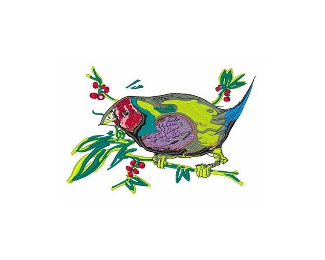 Gouldian Finch Machine Embroidery Design Etsy