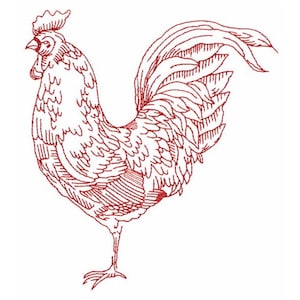 Rooster - Machine Embroidery Design