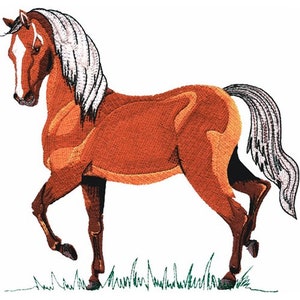 Stor Quarter Horse - Maskinbroderidesign