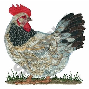 Hen - Machine Embroidery Design