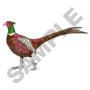 May include: A brown and green pheasant with a red head and a long tail.