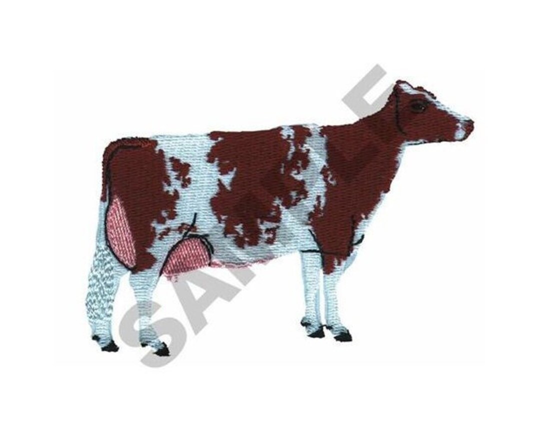 Large Ayrshire Machine Embroidery Design Etsy