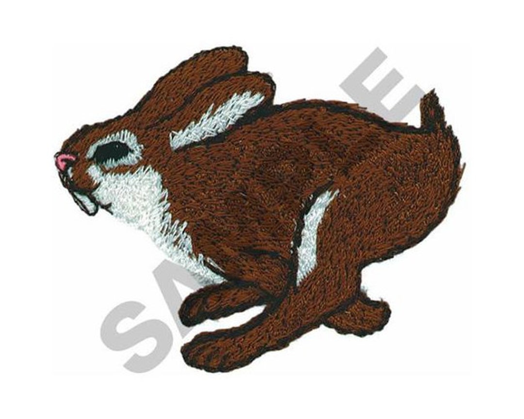 Standing Rabbit Embroidery Design Running Rabbiit - Machine Embroidery Design - Etsy