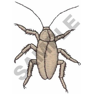 Peut inclure: Un cafard brun avec de longues antennes et six pattes. Le cafard est face à l'avant, les pattes écartées.