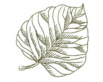 Diseño de bordado a máquina de hoja de álamo temblón dibujada a mano