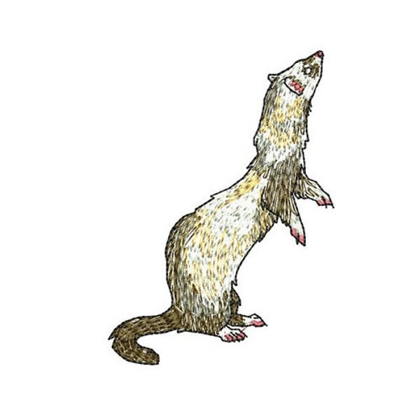 Ferret - Machine Embroidery Design