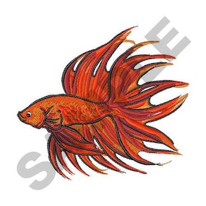 May include: A red and orange betta fish with long, flowing fins. The fish is swimming to the right.