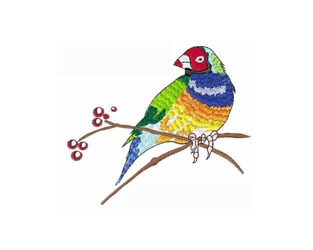 Gouldian Finch Machine Embroidery Design Etsy