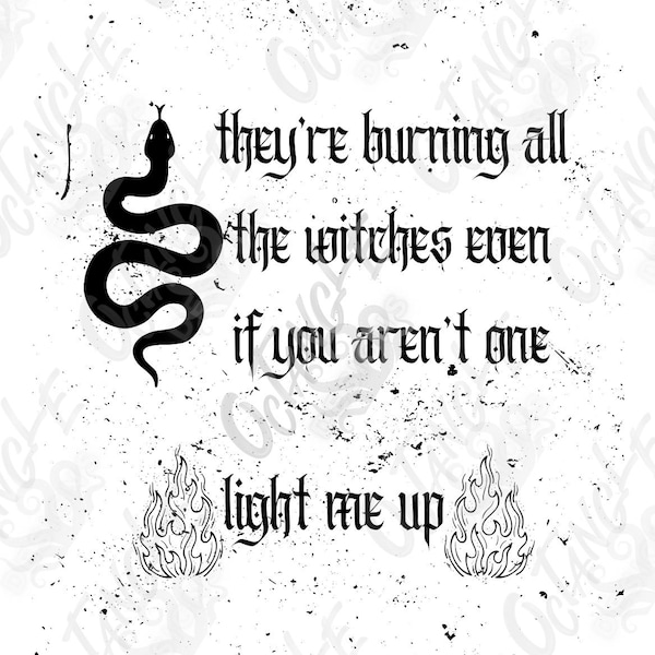 they're burning all the witches even if you aren't one - light me up - reputation era- swiftie - snake - fire - instant download - svg, png