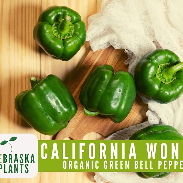 Organic Green Bell Pepper Seeds - California Wonder Heirloom Pepper Seeds