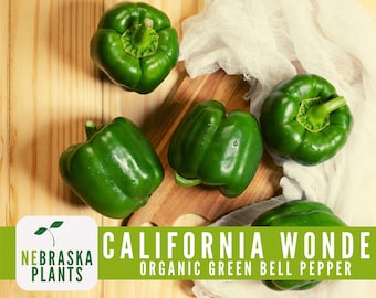 Organic Green Bell Pepper Seeds - California Wonder Heirloom Pepper Seeds