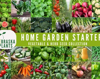 Garden Starter Seed Kit - Vegetable and Herb Garden Seeds - Heirloom Gardening Kit Seed Collection