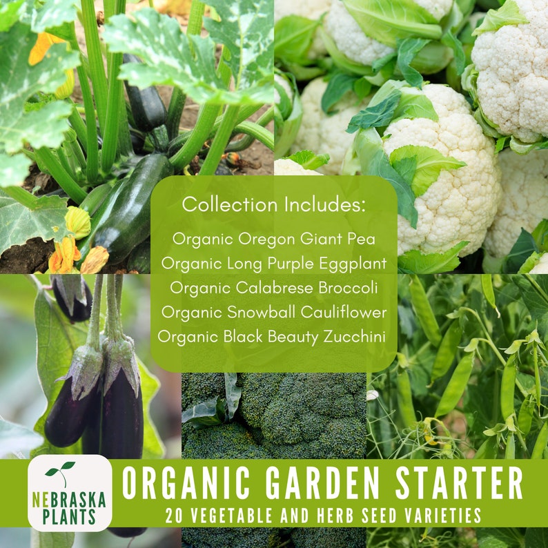 Mixed organic seed collection perfect for eco-conscious gardeners