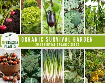 Organic Storage Vault Seeds - Collection of 20 Organic Seed Varieties for Seed Bank and Long-Term Storage