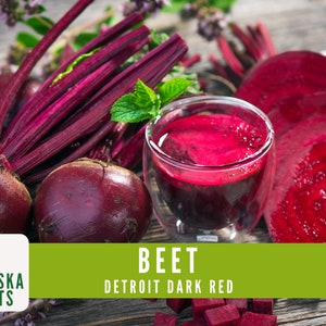 Detroit Dark Red Beet Garden Seeds - 12 Mg Packet - Non-GMO, Heirloom Seed For Growing Microgreens Vegetable Gardening