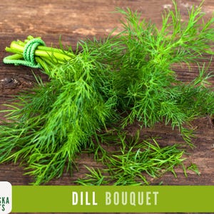K&ouml;nnte beinhalten: Ein Bund frischer gr&uuml;ner Dill, der mit einem gr&uuml;nen Band zusammengebunden ist. Der Dill liegt auf einer braunen Holzoberfl&auml;che. Der Text "DILL BOUQUET" befindet sich auf einem gr&uuml;nen Hintergrund unter dem Dill.