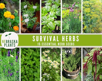 May include: A collage of various herbs and flowers, including basil, chives, and lavender. The image features a banner that reads "Survival Herbs" and "15 Essential Herb Seeds" with the Nebraska Plants logo.