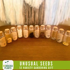 Rare and unusual heirloom seed kit, a one-of-a-kind gardening gift