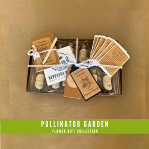 Pollinator Garden Flower Seed Collection - Unique Flower Seed Kit for Gardeners!