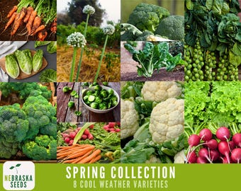 Cool Weather Seed Collection - 8 Heirloom Vegetable and Herb Seeds Perfect for Planting a Spring or Fall Garden!