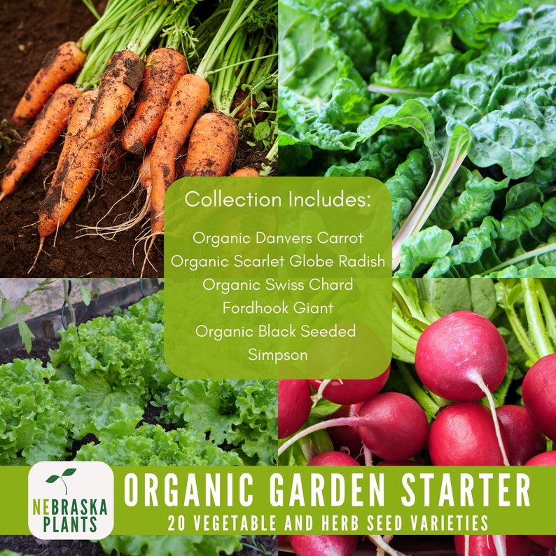 Organic garden starter pack with seeds for herbs, veggies, and pollinator-friendly flowers