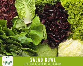 Salad Bowl Container Mix - Heirloom Lettuce Seeds