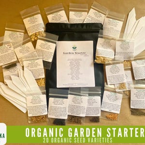 Organic vegetable and herb seeds for creating a home garden