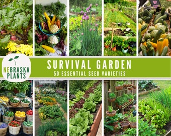 Seed Vault Storage Seeds Collection - Survival Garden of 50 Varieties of Vegetable, Fruit and Herb Seeds - Seed Bank Essential Collection