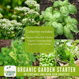 Assorted organic seeds for sustainable home gardening