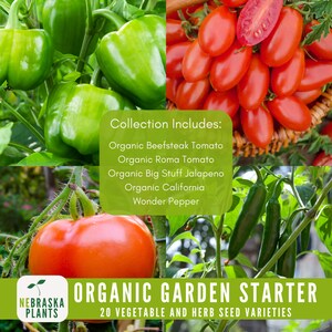 Organic seed set with labeled packets for DIY gardening