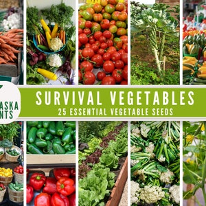 Essential Vegetable Garden - 25 Vegetable Seed Varieties - Seed Vault Storage Seeds - Seed Bank Essential Collection
