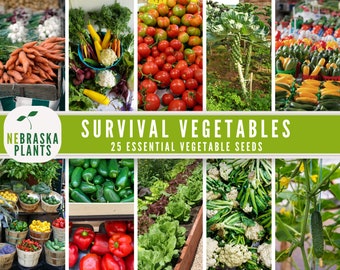 Essential Vegetable Garden - 25 Vegetable Seed Varieties - Seed Vault Storage Seeds - Seed Bank Essential Collection