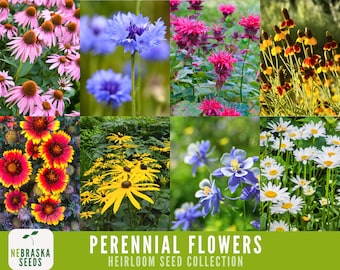 Perennial Flower Seed Collection - 8 Heirloom Perennial Flower Varieties for a Beautiful Home Garden!