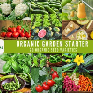 Collection of 20 Organic fruit, vegetable and herb seeds for growing an organic garden at home.
