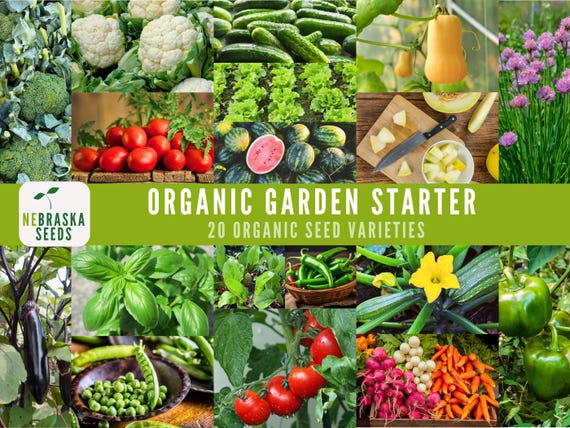 Organic Garden Starter Seeds - 20 Heirloom Vegetable, Fruit and Herb Seeds for home Organic Gardens!
