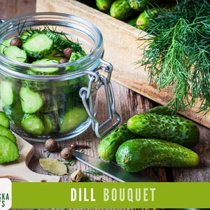 K&ouml;nnte beinhalten: Ein Glas gef&uuml;llt mit Dillgurken, mit frischen Dillspitzen und Pfefferk&ouml;rnern. Ein Holzbrett mit frischen Dillgurkenscheiben und einem Messer. Frische Dillgurken auf einer Holzoberfl&auml;che. Dill Bouquet.