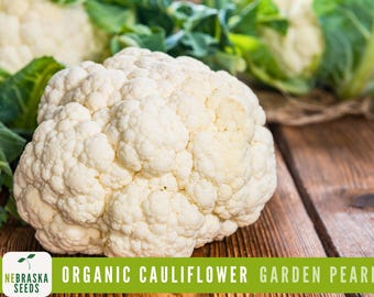 Organic Cauliflower Seeds - Garden Pearl : Heirloom, Non-GMO and Easy-to-Grow Backyard Beauties!