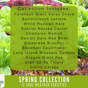 Peut inclure: Gros plan sur une vari&eacute;t&eacute; de l&eacute;gumes frais, dont de la laitue, du chou fris&eacute;, des carottes, des radis, des betteraves, du brocoli, du chou-fleur, des choux de Bruxelles, des pois, du c&eacute;leri et de la ciboulette. Le texte "Collection Includes:" et une liste des l&eacute;gumes sont affich&eacute;s sur un fond blanc. Le texte "SPRING COLLECTION 12 COOL WEATHER VARIETIES" est affich&eacute; sur un fond vert.