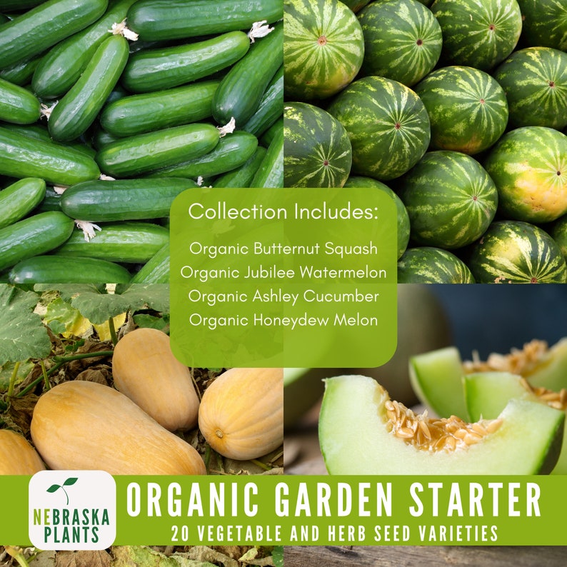 Collection of organic, heirloom seed packets for beginner gardeners