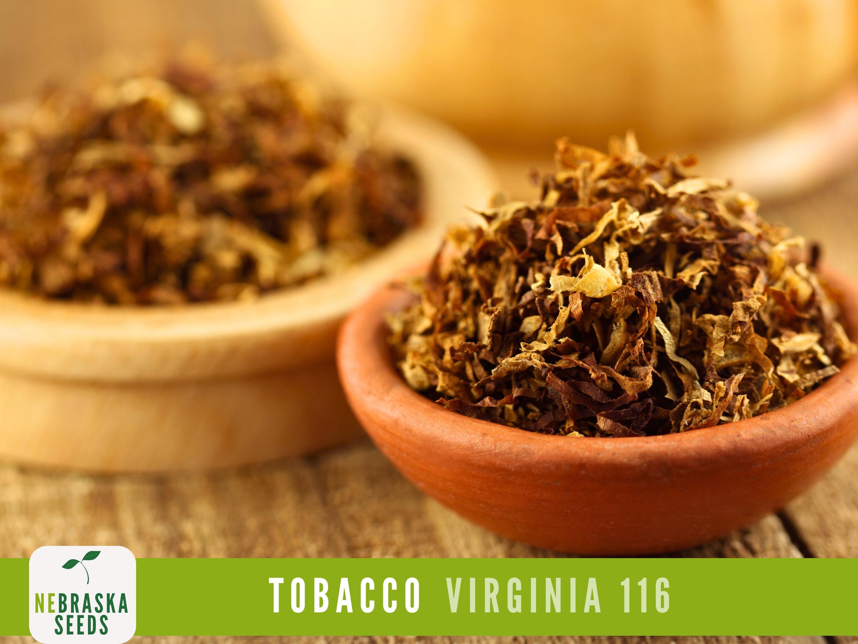 virginia 116 tobacco Virginia 116 Tobacco Seeds | Heirloom & Non-GMO