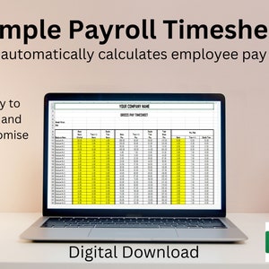 Simple Payroll Timesheet, excel spreadsheet, small business, weekly, monthly