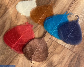 Verschiedene Bodhi Skelett Blätter, natürliche Ficus, DIY Craft Project